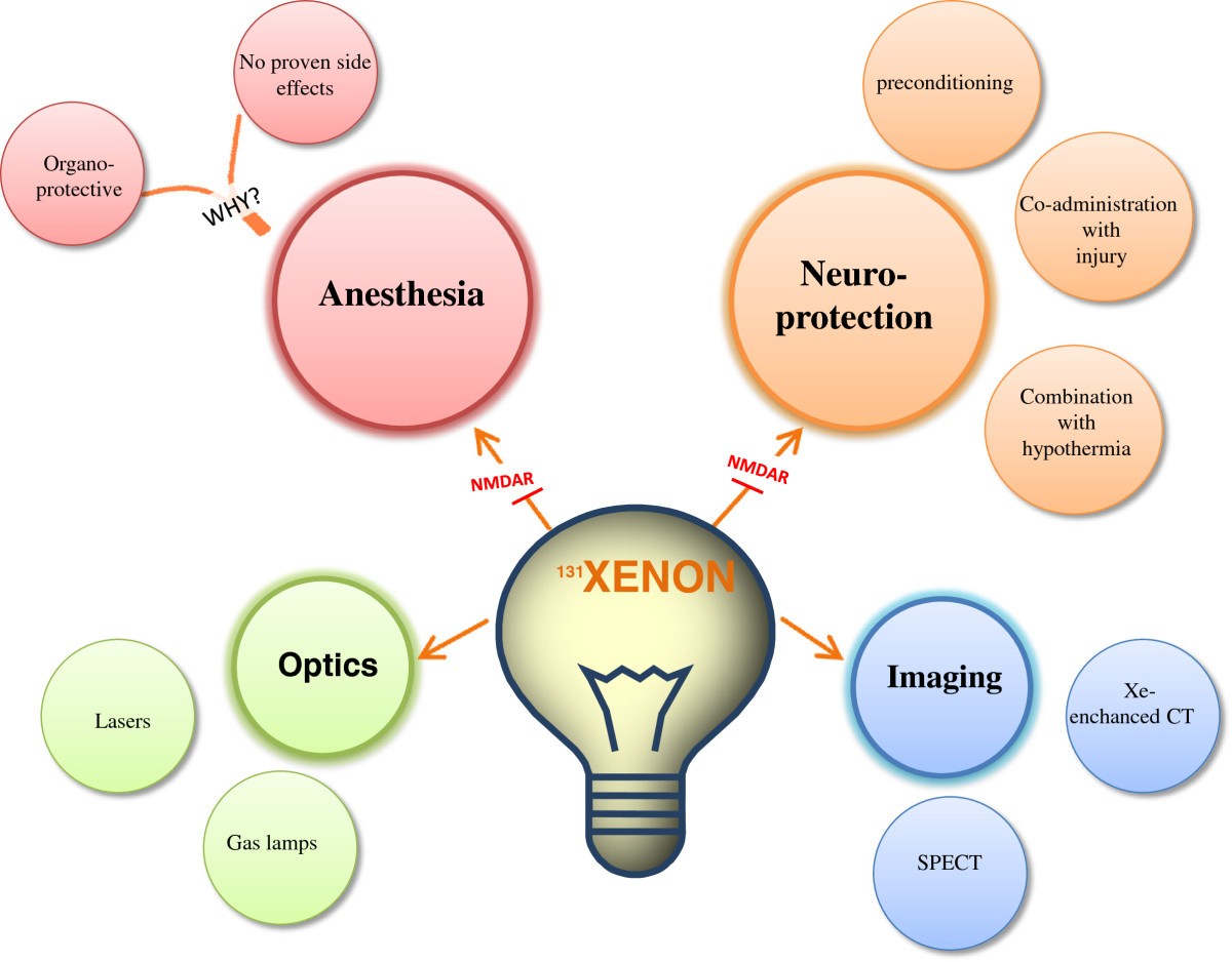 Xenon Organ-protection