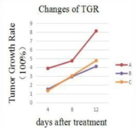Figure 1. overall changes in tumor growth rate increased in all three groups during the experiment
